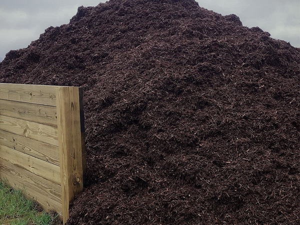 Chocolate dyed mulch.