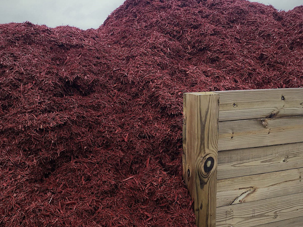 Red dyed mulch.
