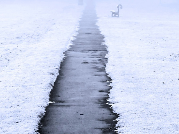 Sidewalk with melted snow surrounded by grass covered with snow.